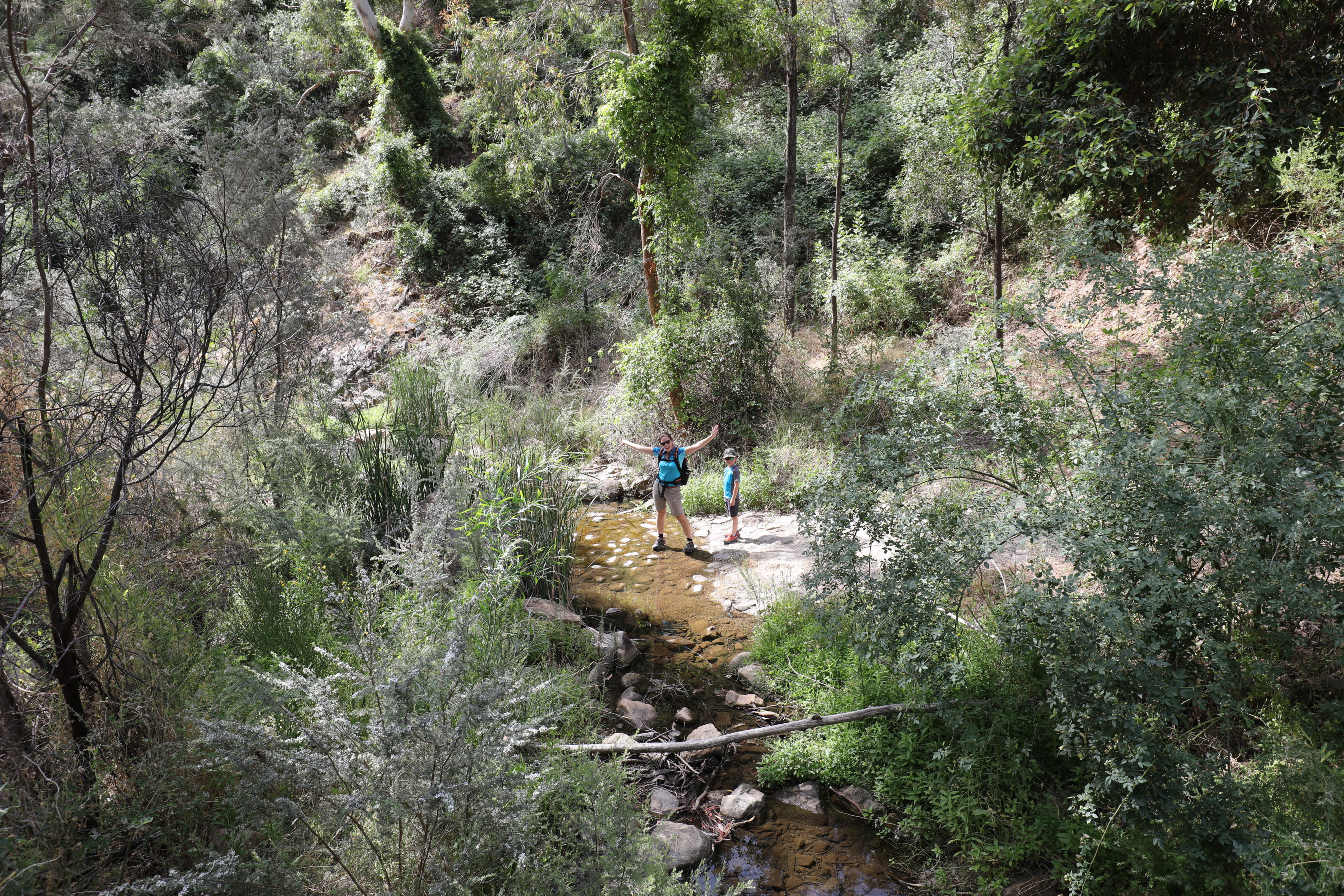 2019 12 08 16 03 55 Canon EOS 5D Mark IV 0049